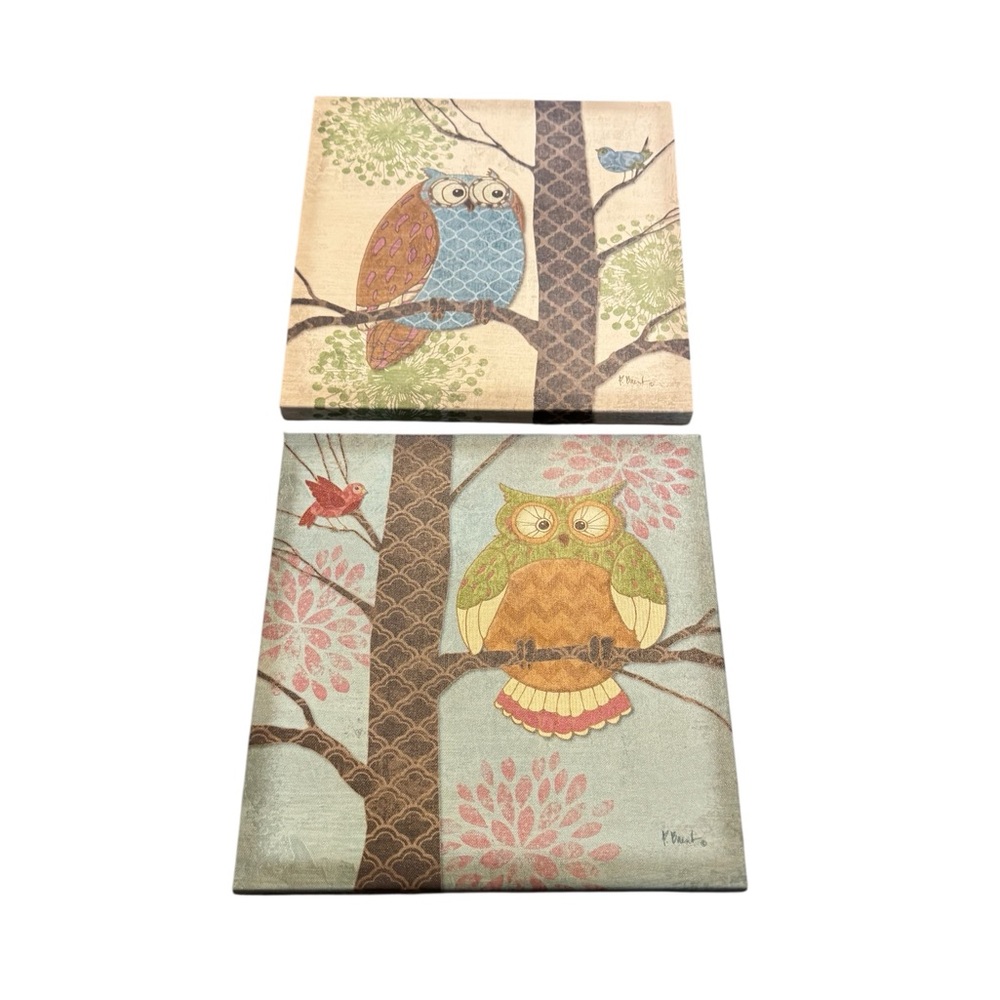 Set of 2 Wrapped Canvas‎ Owl Prints 12" X 12"